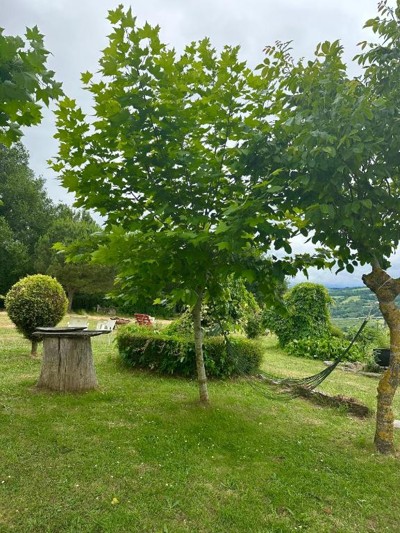 Albergue A Casa de Carmen
