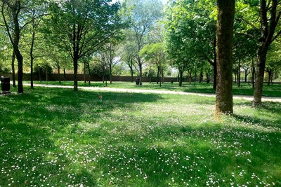 Camping Peregrino San Marcos